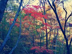 -丹东天桥沟景区