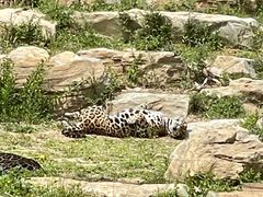 -北京野生动物园