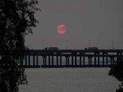 -宝安西湾红树林湿地公园