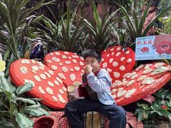 -正佳雨林生态植物园