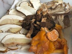 -蘑统田下·野生菌火锅