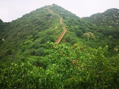 -大岭沟猕猴桃谷风景区