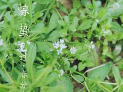 -八仙山公园