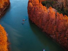 -上海海湾国家森林公园