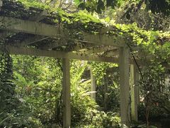 -广西壮族自治区药用植物园