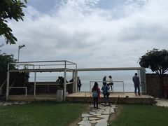 苍洱春饭店-苍洱春饭店