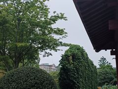 -嘉定紫藤园