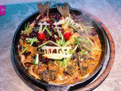 -老板恋上鱼(恒隆广场店)