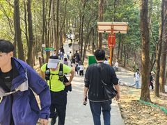 -火炉山森林公园