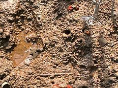 -东寨港红树林旅游区