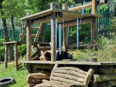 -大连森林动物园