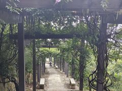 -缥缈峰景区
