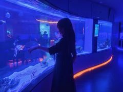 -上和臻品中国菜(花园街店)