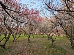 -蜀冈西峰生态公园