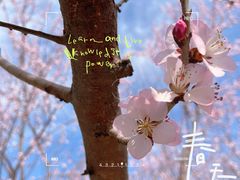 -南海子公园