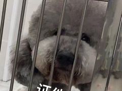 -爱诺耐芙动物医院(万博店)