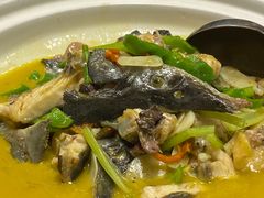 黄焖鲟龙鱼-饭怕鱼(阳光100店)
