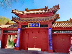 -桃花堤公园