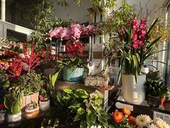 -FEI FEI FLOWER鲜花店·气球派对·宝宝宴布置(虹口德必运动Loft店)