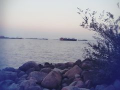 -吴淞炮台湾湿地森林公园烧烤区