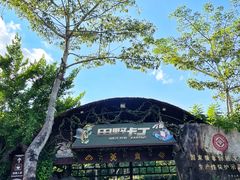 -海南槟榔谷黎苗文化旅游区