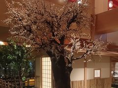 -北方暖暖温泉洗浴(沈阳北站店)