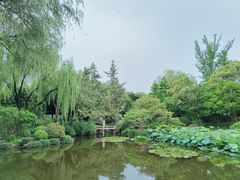 -秋霞圃