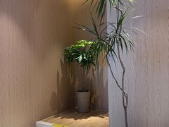 -耳道精致采耳(运达汇店)