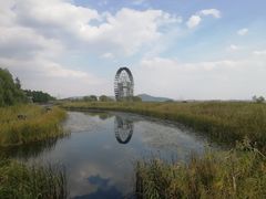 -太湖湖滨国家湿地公园-停车场