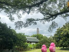 -江心屿景区