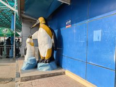 -太平洋海底世界