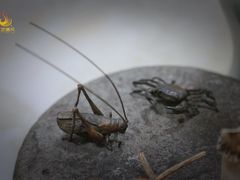 -汉艺唐风茶艺培训(联发华美空间店)