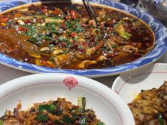 -新概念来凤鱼(璧山店)