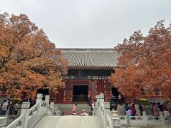 -香山公园