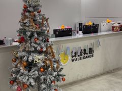 -舞蕾舞蹈(特长生校区)