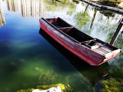 -前关湿地公园