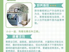 -研筑国际设计事务所(总店)