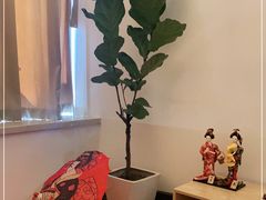 -八号公馆·老上海SPA(深圳北站店)