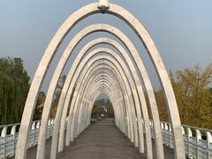 -大兴滨河森林公园