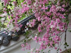 -深圳国际园林花卉博览园