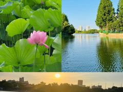 -黄兴公园