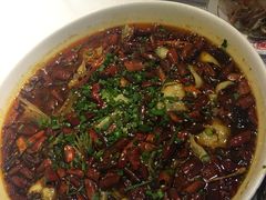 麻辣水煮鱼-粤香楼(新光里店)