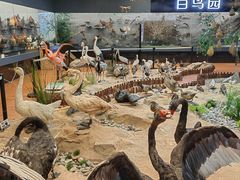 -昆明动物博物馆