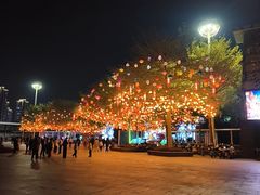 -厦门园林博览苑