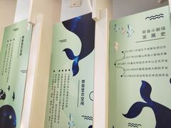 -荷苗艺术空间