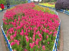 -铁山坪森林公园