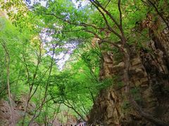 -北京上方山国家森林公园