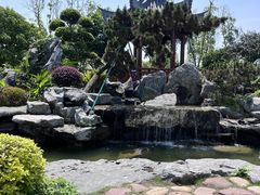 -东莞植物园