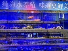 -青蓬蒸汽海鲜·深圳老字号·团建聚会(壹方城店)