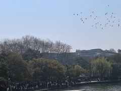 -西湖游船